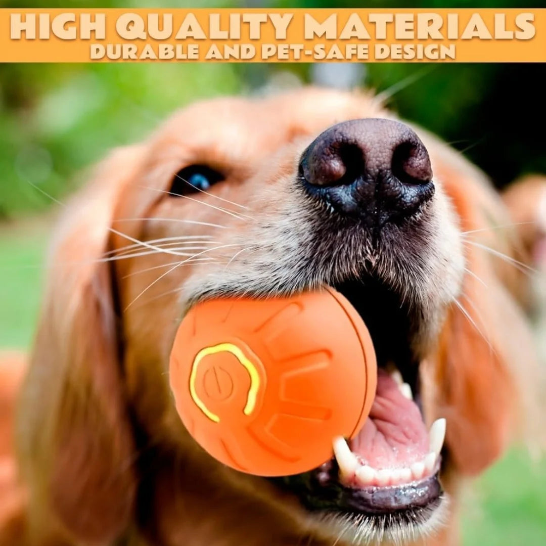 Pet Ball Smart Bouncing For Dogs and Cats